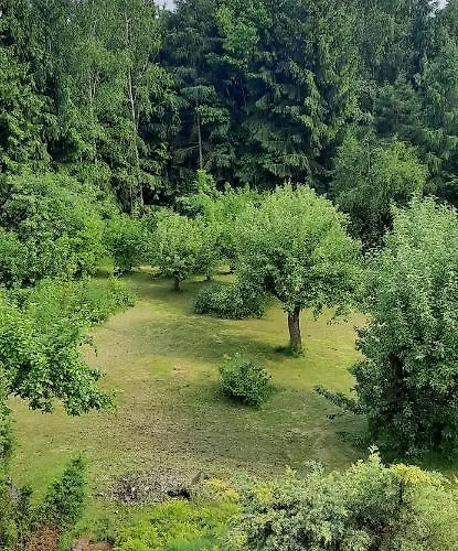 Zbójnicka * Wieliczka